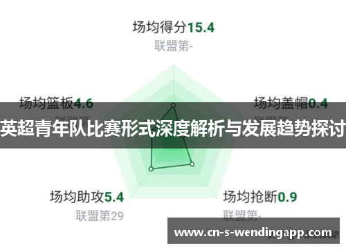 英超青年队比赛形式深度解析与发展趋势探讨