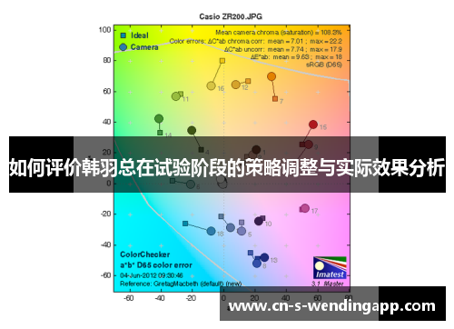 如何评价韩羽总在试验阶段的策略调整与实际效果分析