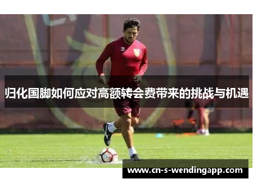 归化国脚如何应对高额转会费带来的挑战与机遇