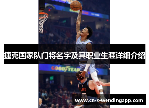 捷克国家队门将名字及其职业生涯详细介绍