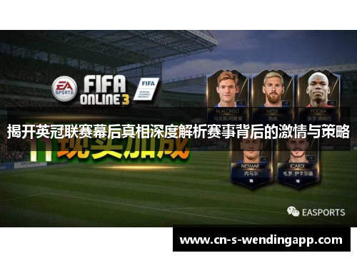 揭开英冠联赛幕后真相深度解析赛事背后的激情与策略