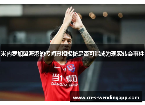 米内罗加盟海港的传闻真相揭秘是否可能成为现实转会事件