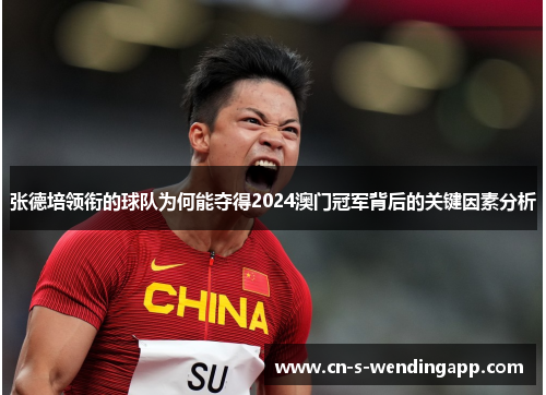 张德培领衔的球队为何能夺得2024澳门冠军背后的关键因素分析 张德培领衔的球队为何能夺得2024澳门冠军背后的关键因素分析
